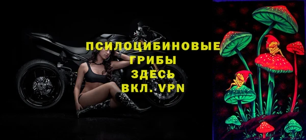 герыч Алзамай