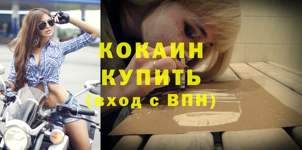 гидра Козловка