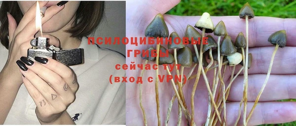 дживик Абаза