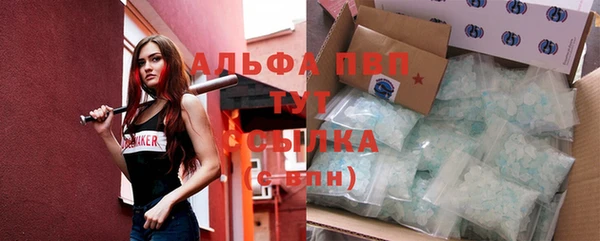 дживик Абаза