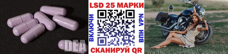 блэк спрут ССЫЛКА  мориарти как зайти  ЛСД экстази кислота  Елизово 