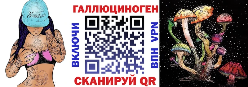 продажа наркотиков  Елизово  Галлюциногенные грибы Magic Shrooms 